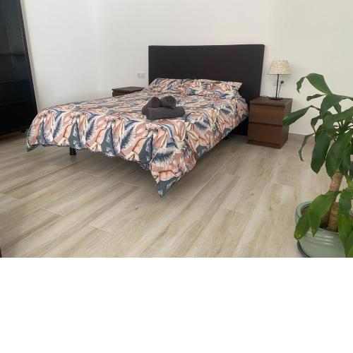 Apartamento Loft