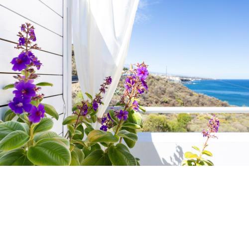 Apartamento Luna