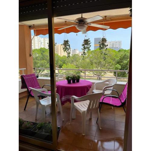 Apartamento PARADISE Solo Familias