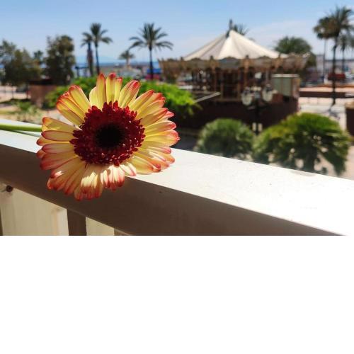 Apartamento Paraíso en 1ª Línea de Playa