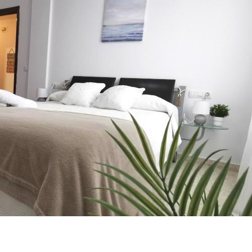 Apartamento Pirrado
