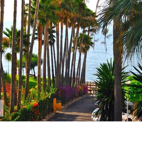 Apartamento Playa Algaida