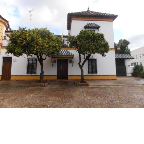 Apartamento Plaza de Toros