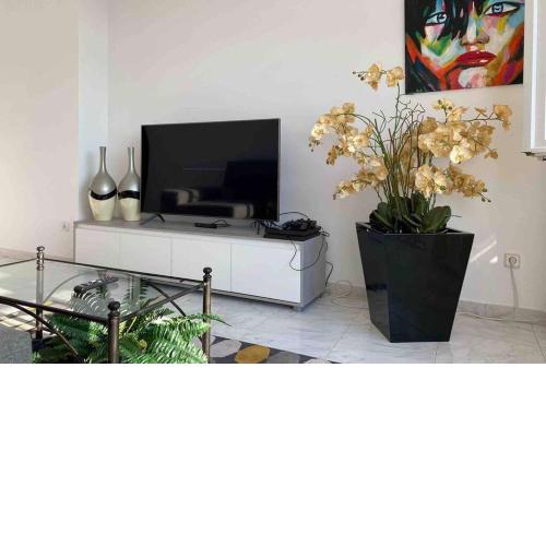 apartamento plaza del parque
