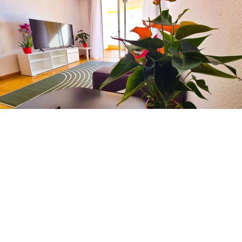 Apartamento Radazul Sea View
