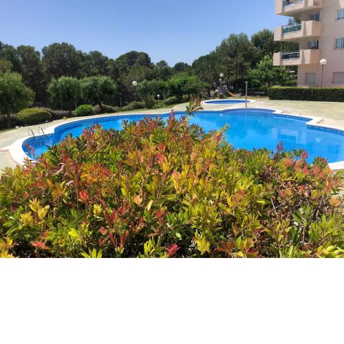 Apartamento SalouMar