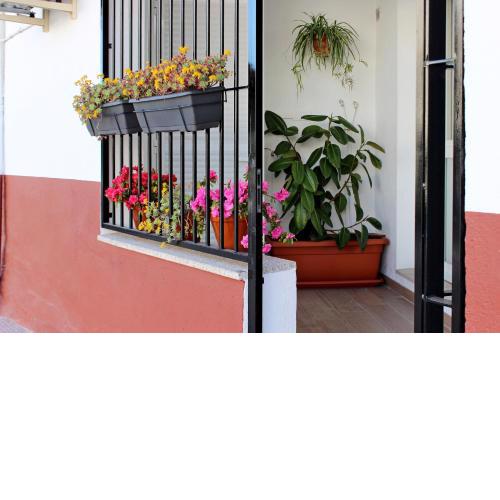 Apartamento turístico la Vera