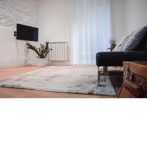 Apartamento Zurriola by SanSe Holidays