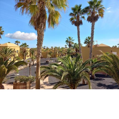 Apartamentos Corralejo Playa Oasis