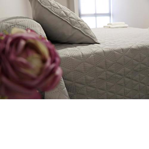Apartamentos Credencial