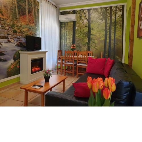 Apartamentos Dana Madrid