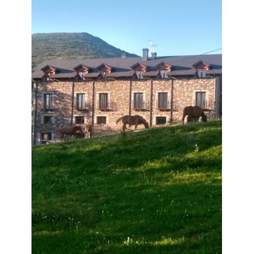 Apartamentos Fio de Neu Laspaules