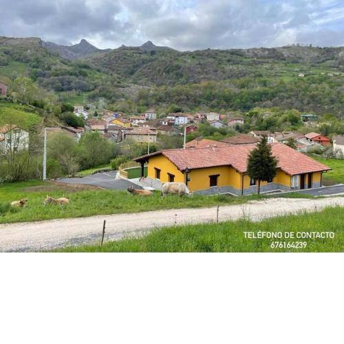 Apartamentos Fuente La Pipa
