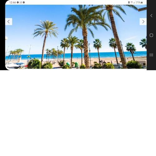 Apartamentos Gali playa 2 San pedro 10