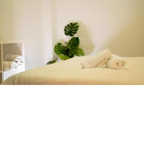 Apartamentos GAV