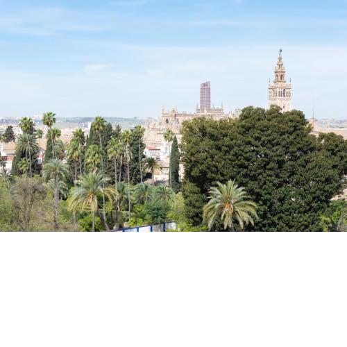 Apartamentos Jardines de Meca