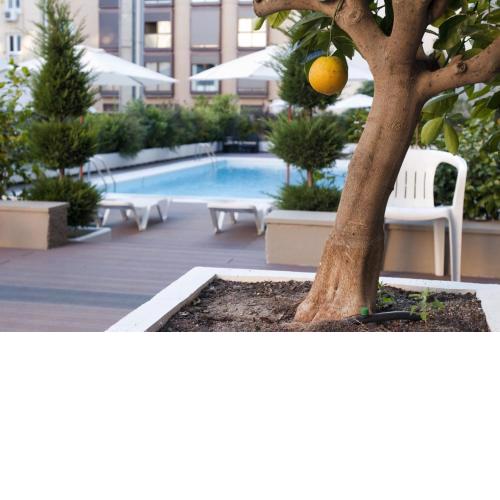 Apartamentos Juan Bravo