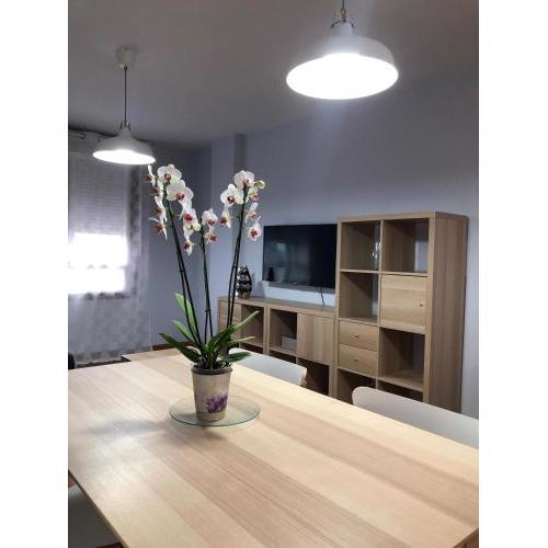 Apartamentos Lemos Luna