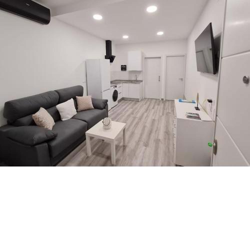 Apartamentos Linersol