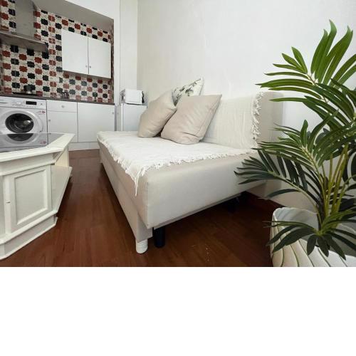 Apartamentos Málaga centro
