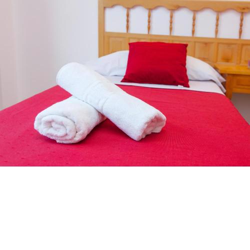 Apartamentos Puet