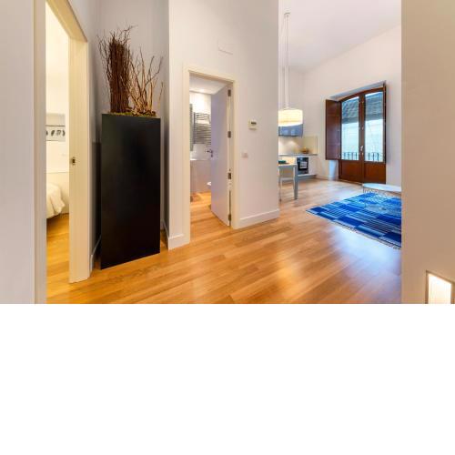 Apartamentos Rafael Premium