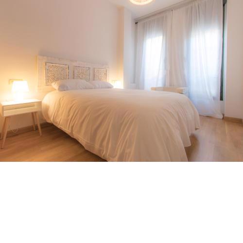 Apartamentos Recogidas 10