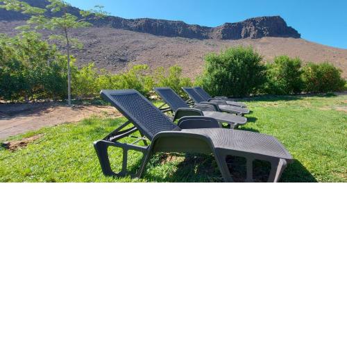 Apartamentos Roque Aguayro