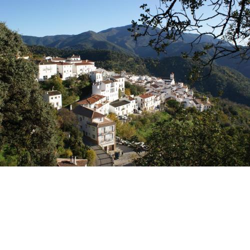 Apartamentos Rurales Jardines del Visir