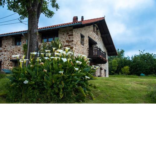 Apartamentos Rurales Larrago
