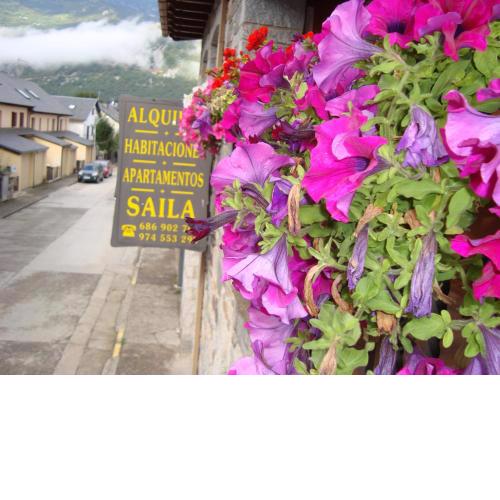 Apartamentos Saila