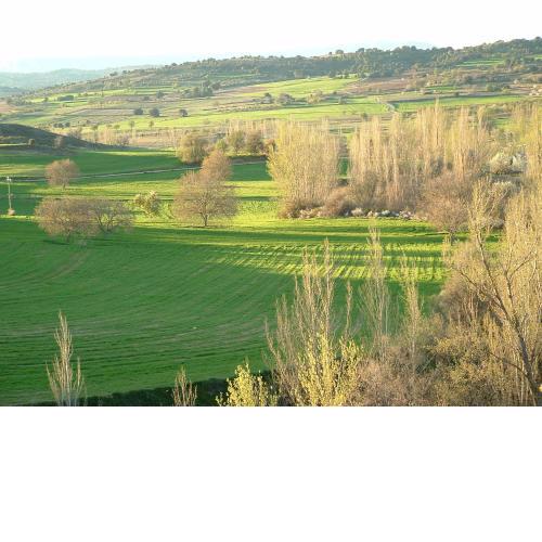 Apartamentos Serrano