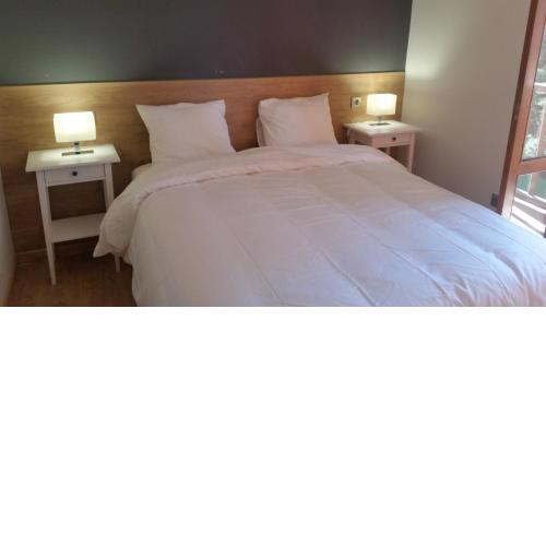 Apartamentos Valle de Tena - Biescas