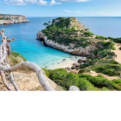 Apartaments Marina Sol i Pins