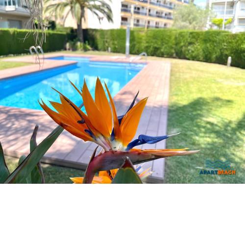 APARTBEACH PANORAMIC VISTAS PLAYA y PISCINA