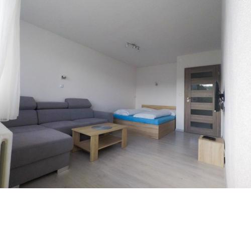 Apartmán Choč