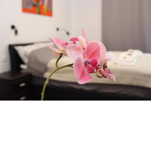 APARTMÁN K2 Zuberec