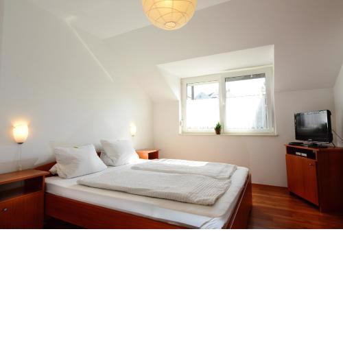 Apartman Molnár