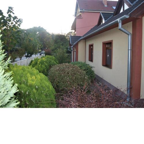 Apartmán pri starom dube