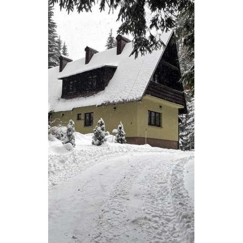 Apartmány Foresta Jasná