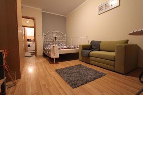 Apartment 132