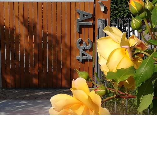 Apartment AL34