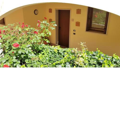 Apartment Alberto