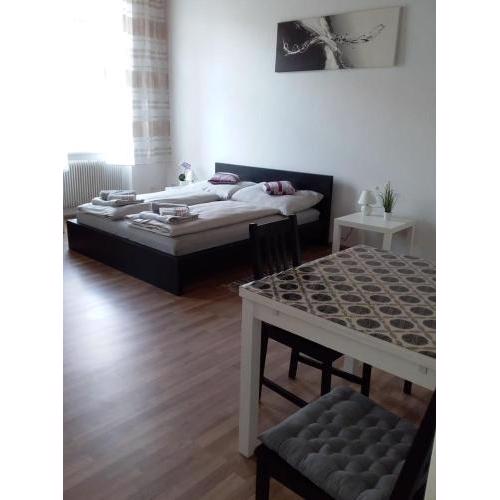 Apartment Alser