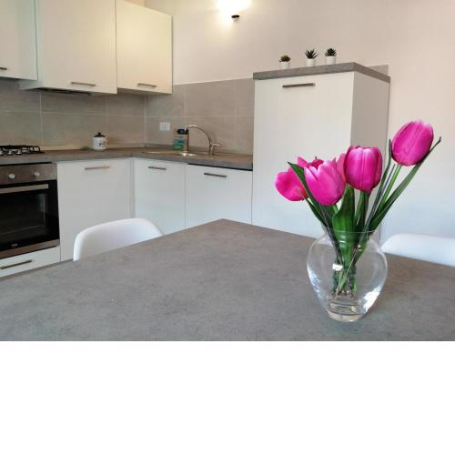 Apartment Annive