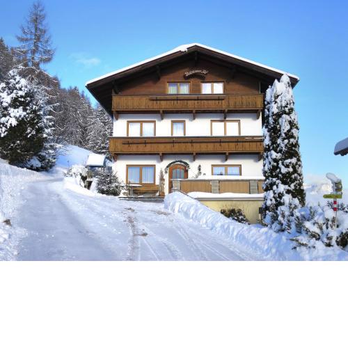 Apartment Baumannerhof - FGZ144