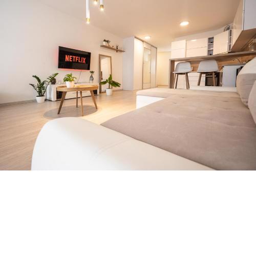 Apartment Belveder with terrace
