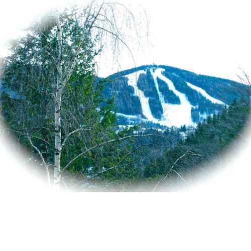 Apartment Bergblick Semmering