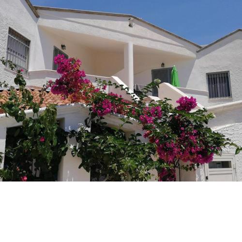 Apartment Casa Gino with sea views in San Pietro in Bavegna