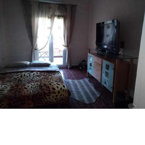 Apartment , Central , Sea , Shared, Apartment with own room with balcony , kitchen and toilet in common